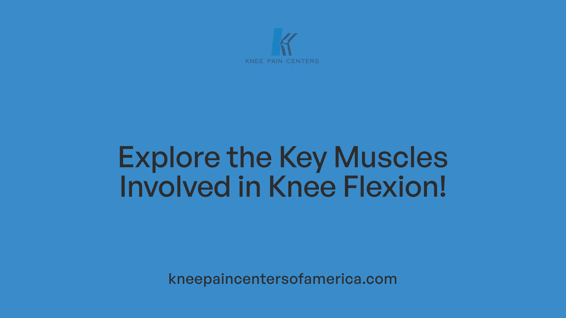 Explore the Key Muscles Involved in Knee Flexion!