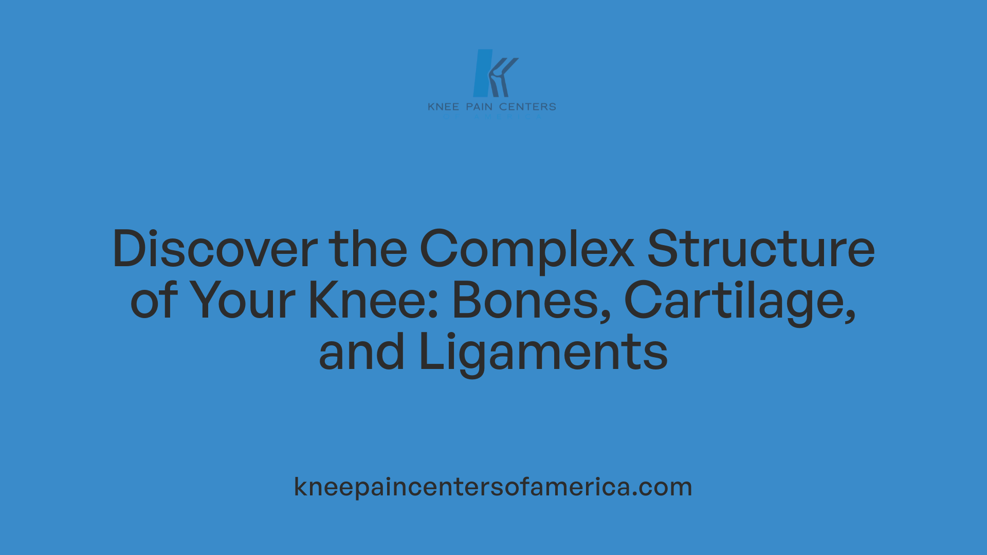 Discover the Complex Structure of Your Knee: Bones, Cartilage, and Ligaments