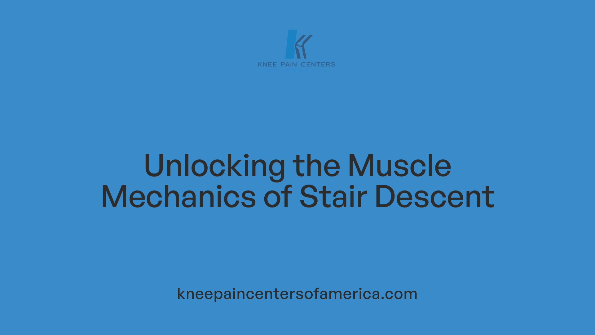 Unlocking the Muscle Mechanics of Stair Descent