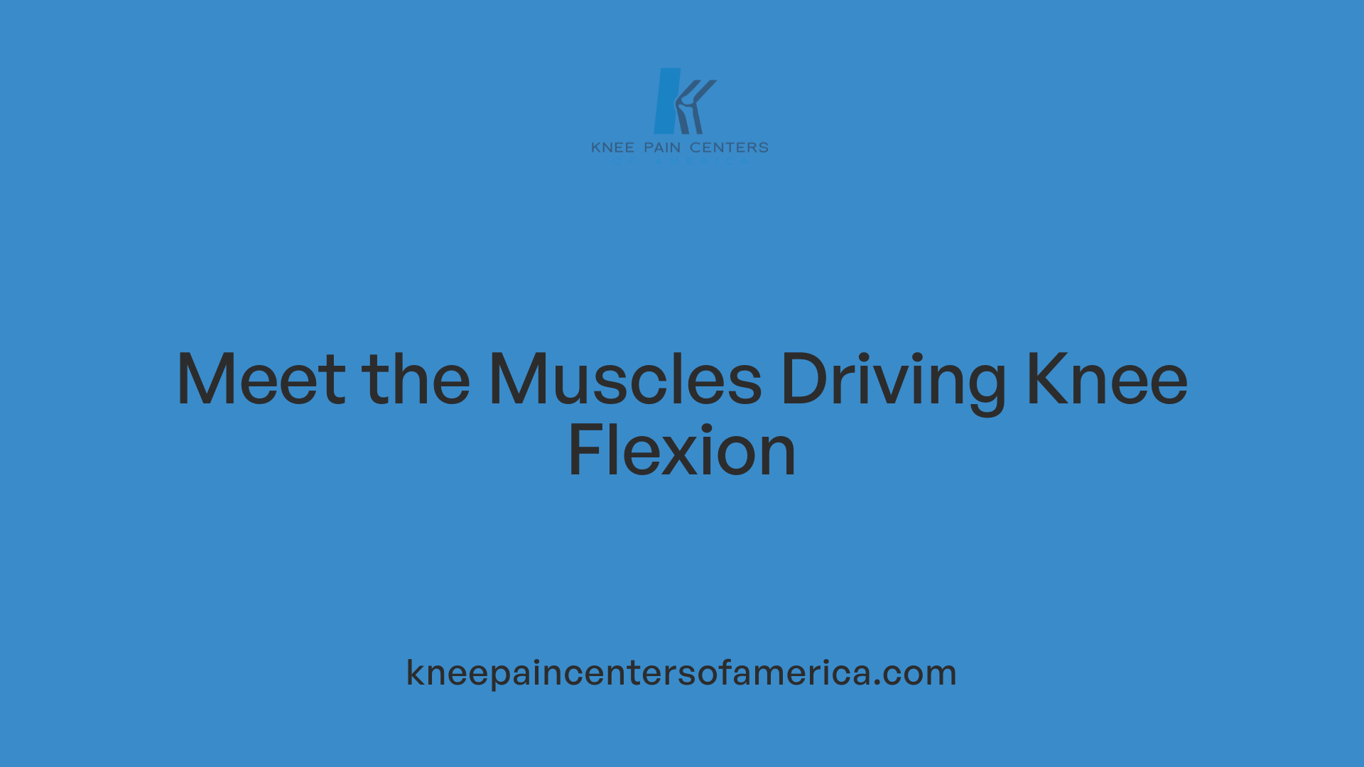 Meet the Muscles Driving Knee Flexion